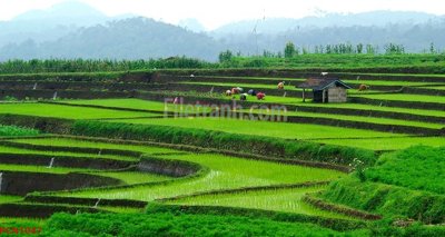 File tranh File tranh phong cảnh thiên nhiên PCN1047 (ảnh gốc) độ nét vượt trội