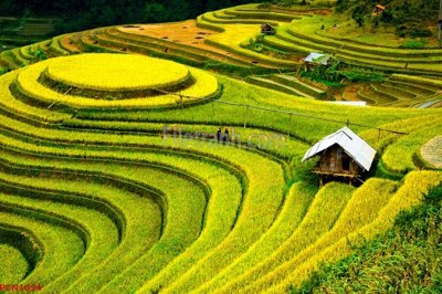 Download file gốc File tranh phong cảnh thiên nhiên PCN1054 (in mica) trong suốt