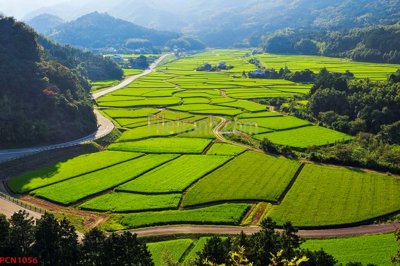 File tranh File tranh phong cảnh thiên nhiên PCN1056 (ảnh gốc) in trần xuyên sáng