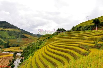 File ảnh gốc File tranh phong cảnh thiên nhiên PCN1065 (chuyên in mica)