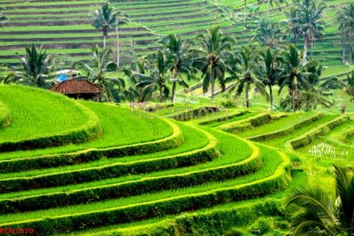 Tải file tranh gốc File tranh phong cảnh thiên nhiên PCN1070 chất lượng cao