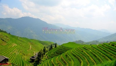 File tranh in trần 3D File tranh phong cảnh thiên nhiên PCN1073 (ảnh gốc)