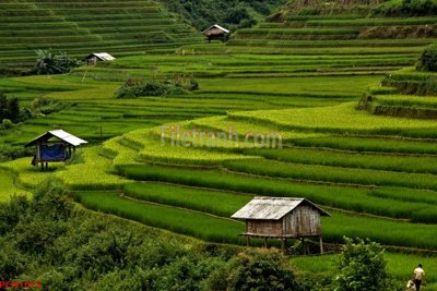 File tranh File tranh phong cảnh thiên nhiên PCN1075 (gốc) in trên kính