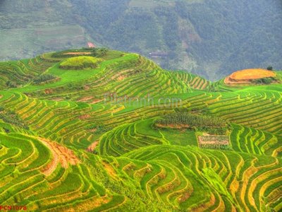 Tải file File tranh phong cảnh thiên nhiên PCN1078 (ảnh gốc) in gạch 3D