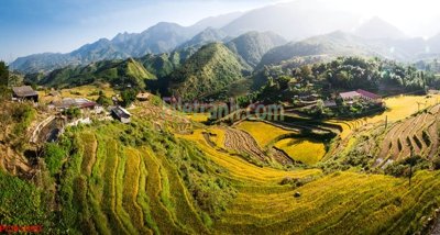 File tranh gốc File tranh phong cảnh thiên nhiên PCN1090 (bản quyền) file PSD