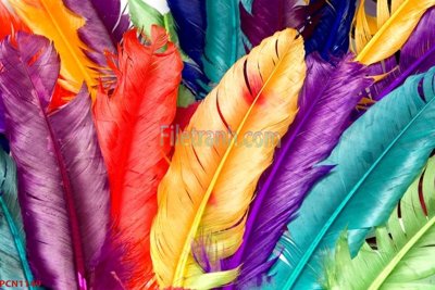 File in ấn File tranh phong cảnh thiên nhiên PCN1149 (bản gốc) chất lượng cao