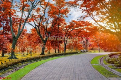 File gốc in ấn File tranh phong cảnh thiên nhiên PCN1215 chuẩn màu CMYK