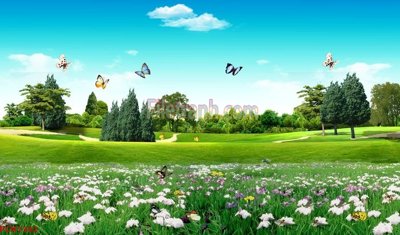 File tranh File tranh phong cảnh thiên nhiên PCN1342 (gốc) phong cách tối giản