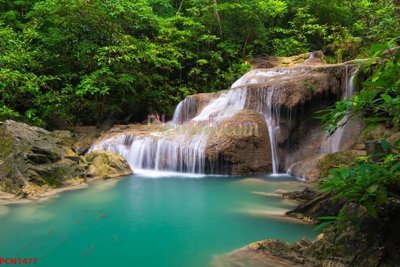 File PSD File tranh phong cảnh thiên nhiên PCN1477 (bản gốc) chất lượng nhất