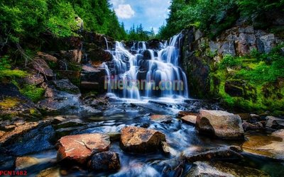 File gốc File tranh phong cảnh thiên nhiên PCN1482 (in lụa) hoa văn cổ điển