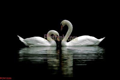 Tệp tin gốc File tranh phong cảnh thiên nhiên PCN1526 (chất lượng) File tranh phong cảnh thiên nhiên PCN1526