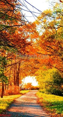 Ảnh gốc File tranh phong cảnh thiên nhiên PCN1546 (siêu chi tiết) để in ấn