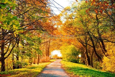 Download file File tranh phong cảnh thiên nhiên PCN1547 (chất lượng in ấn)