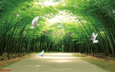 File in ấn cao cấp File tranh phong cảnh thiên nhiên PCN1558 (file gốc)