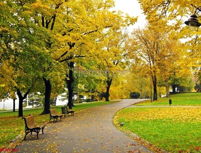 Tải file File tranh phong cảnh thiên nhiên PCN1567 (gốc) in tranh tráng gương