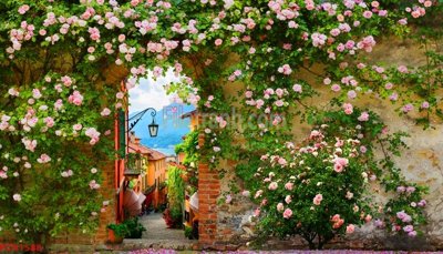 Tải file File tranh phong cảnh thiên nhiên PCN1588 (PSD) cho in ấn quảng cáo