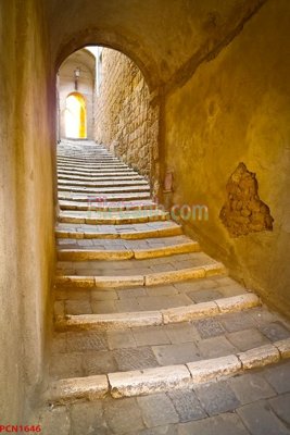 File in mica File tranh phong cảnh thiên nhiên PCN1646 (bản gốc) siêu trong