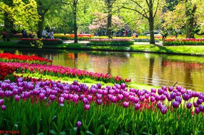 Hình ảnh file gốc File tranh phong cảnh thiên nhiên PCN1664 (chất lượng cao)