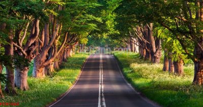 File gốc in tráng gương File tranh phong cảnh thiên nhiên PCN1668 chi tiết