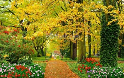 Tải file File tranh phong cảnh thiên nhiên PCN1675 (gốc) làm file in ấn