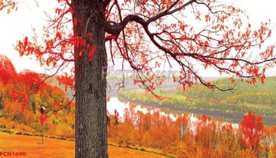 Tải file File tranh phong cảnh thiên nhiên PCN1690 (PSD) cho in tranh 3D