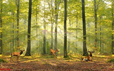 File gốc File tranh phong cảnh thiên nhiên PCN1696 (chủ đề hiện đại) trang trí