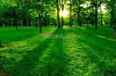 File in ấn chuyên nghiệp File tranh phong cảnh thiên nhiên PCN1719 (file gốc)