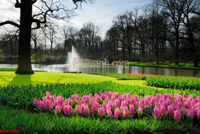 Tải file File tranh phong cảnh thiên nhiên PCN1724 (gốc) làm file thiết kế