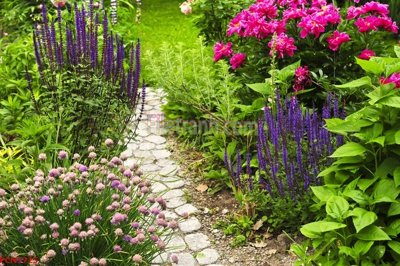 Tải file File tranh phong cảnh thiên nhiên PCN1725 (ảnh gốc) file TIFF