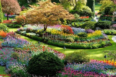 Tải file File tranh phong cảnh thiên nhiên PCN1745 (ảnh gốc) file TIFF