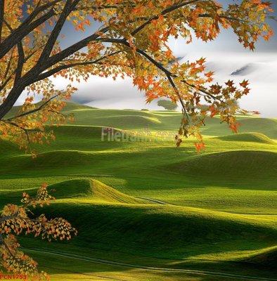 File ảnh File tranh phong cảnh thiên nhiên PCN1753 (gốc) in Hiflex