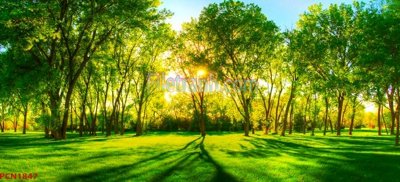 File gốc File tranh phong cảnh thiên nhiên PCN1847 (in lụa) tranh thuận buồm