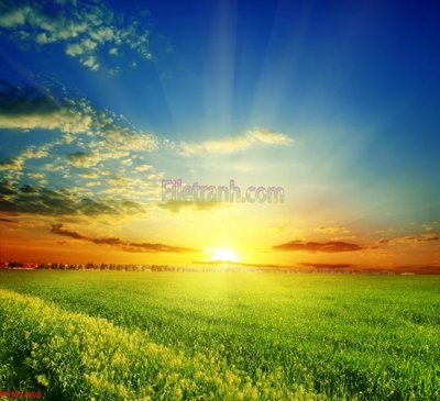 Tải file File tranh phong cảnh thiên nhiên PCN1856 (gốc) làm file thiết kế