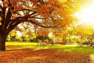 Tải file gốc File tranh phong cảnh thiên nhiên PCN1859 (in không vỡ ảnh)