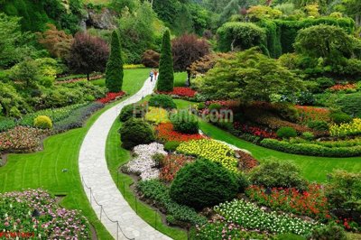 File tranh gốc File tranh phong cảnh thiên nhiên PCN1861 (bản đẹp) độc quyền