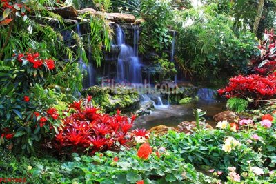 File gốc File tranh phong cảnh thiên nhiên PCN1862 (PNG) không nền chất lượng