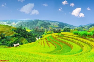 File gốc File tranh phong cảnh thiên nhiên PCN1867 (PNG) chất lượng cao