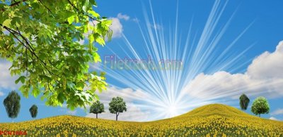 File gốc File tranh phong cảnh thiên nhiên PCN1884 (PNG) nền trong suốt