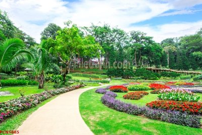 Tệp tin gốc File tranh phong cảnh thiên nhiên PCN1885 (chất lượng cao) File tranh phong cảnh thiên nhiên PCN1885