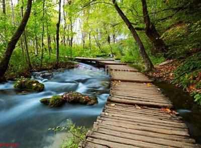 File gốc File tranh phong cảnh thiên nhiên PCN1907 (in 3D) nghệ thuật