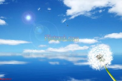 File in trần File tranh phong cảnh thiên nhiên PCN1917 (bản gốc) đại dương