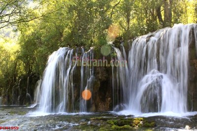 File tranh File tranh phong cảnh thiên nhiên PCN1959 (gốc) chủ đề tĩnh vật