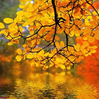 File ảnh File tranh phong cảnh thiên nhiên PCN1960 (gốc) cho trang trí nội thất