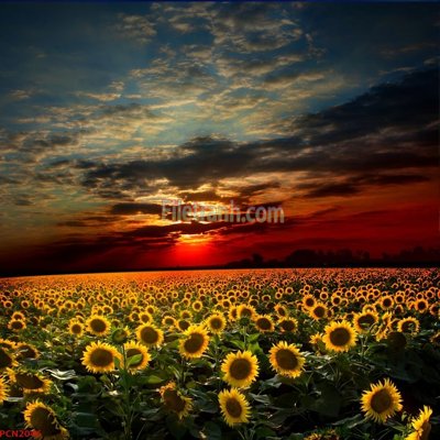 Tải file gốc File tranh phong cảnh thiên nhiên PCN2046 (in tráng gương) siêu đẹpFile tranh gốc File tranh phong cảnh thiên nhiên PCN2046 chất lượng cao