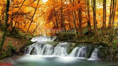 File tranh File tranh phong cảnh thiên nhiên PCN2080 (bản gốc) in lụa 3D