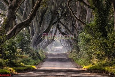 Tải file File tranh phong cảnh thiên nhiên PCN2095 (ảnh gốc) in gạch 3D