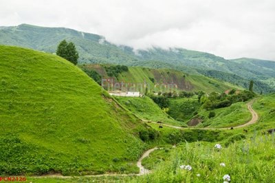 File tranh PSD File tranh phong cảnh thiên nhiên PCN2126 chất lượng cao