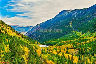 Tải file gốc File tranh phong cảnh thiên nhiên PCN2137 (in khổ lớn) quảng cáo