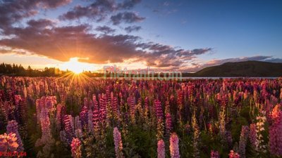 File tranh File tranh phong cảnh thiên nhiên PCN2144 (bản gốc) trang trí văn phòng