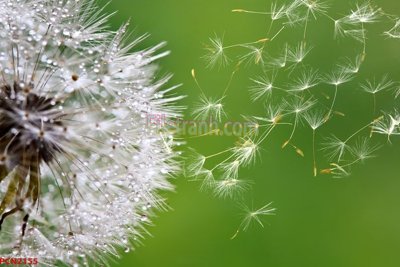 File tranh File tranh phong cảnh thiên nhiên PCN2155 (ảnh gốc) sắc nét hoàn hảo